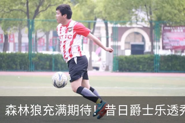 森林狼充满期待！昔日爵士乐透秀能否逆袭焕发新生？